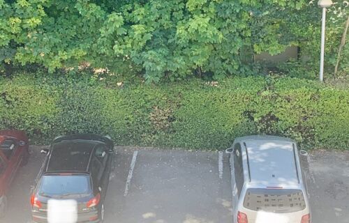 Parking proche mairie et Bords de Marne à Noisy-le-Grand